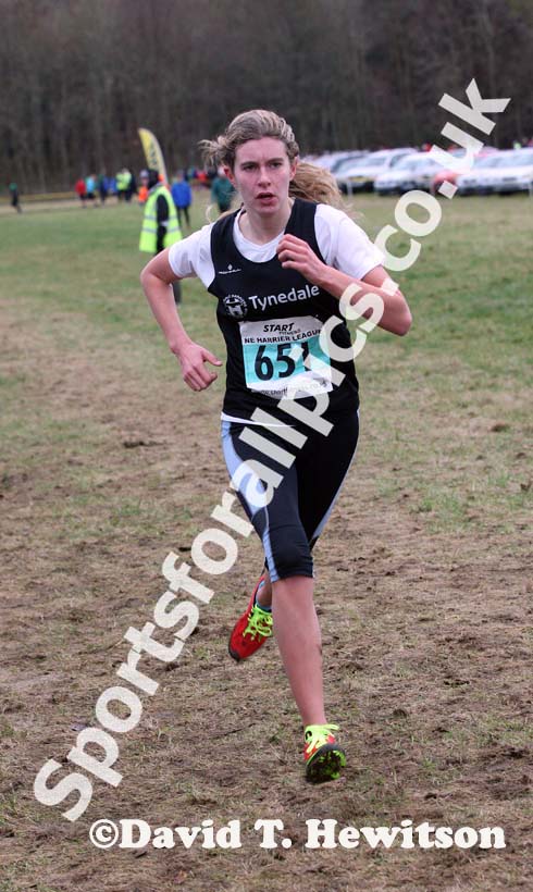 Under-15 girls green 651 North East Harrier League, Wallington Hall, organised by Morpeth Harriers. Photo: David T. Hewitson/Sports for All Pics